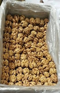 whole walnut kernels price per kg