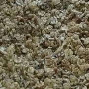 bulk buy walnut kernels online