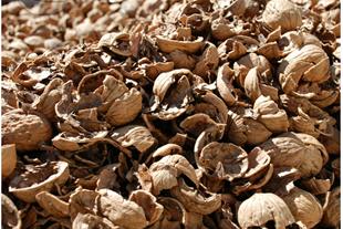 bulk walnut shells for sale