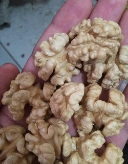buy walnut kernels online india