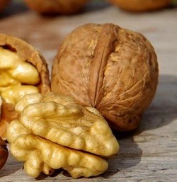 buy walnuts in bulk