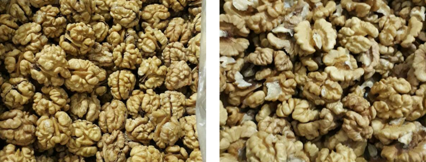 organic walnut kernels wholesale
