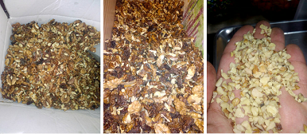 types of walnut kernels for sale