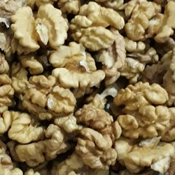 walnut seed kernels