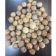wholesale walnuts in shell
