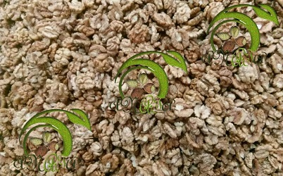 brown halves walnut kernels price